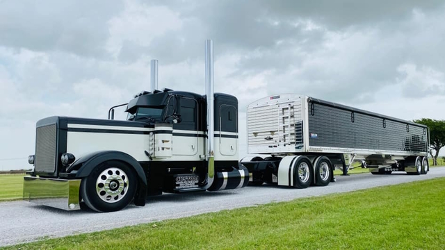 DOM 379 - RDDP LLC
