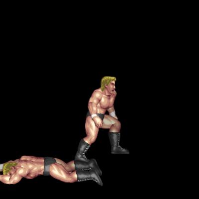 Bulldozer Lariat B