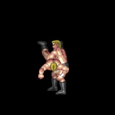 Deadlift Gutwrench Suplex (face down, near head)