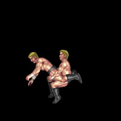 Wheelbarrow Suplex (whip)