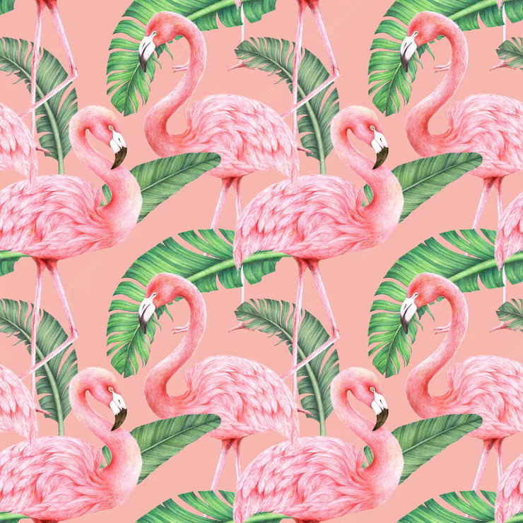 flamingos
