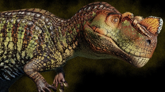 NASCORNIS Cerato