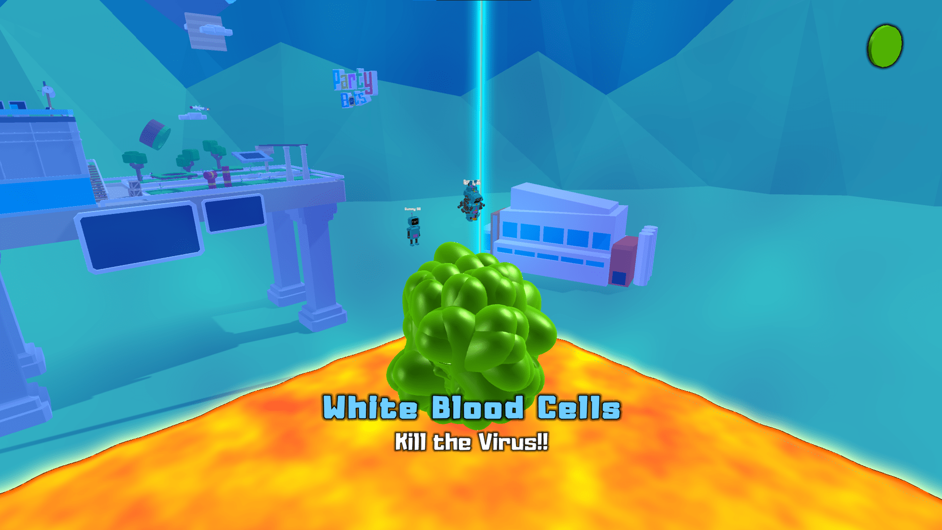 White Blood Cells