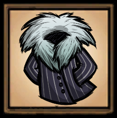 Maxwell's Coat