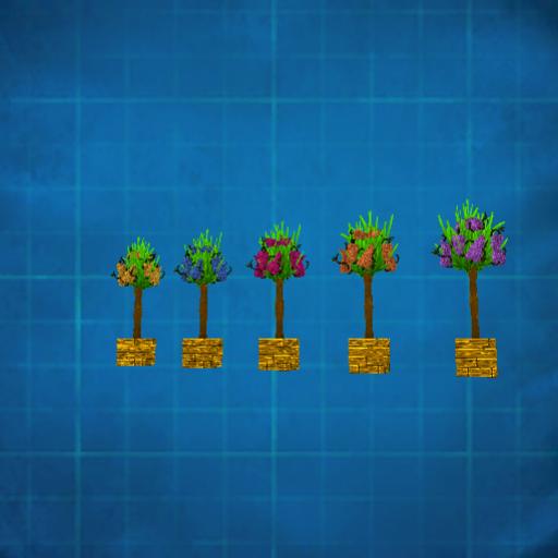 melon trees