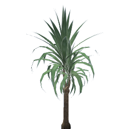 WfS Garden Plant 01