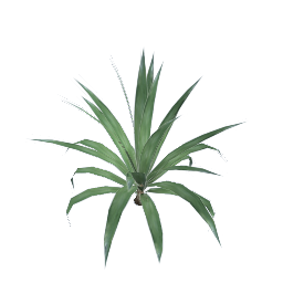 WfS Garden Plant 03