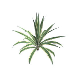 WfS Garden Plant 04
