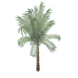 WfS Garden Plant 06
