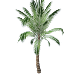 WfS Garden Plant 07
