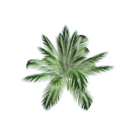 WfS Garden Plant 10