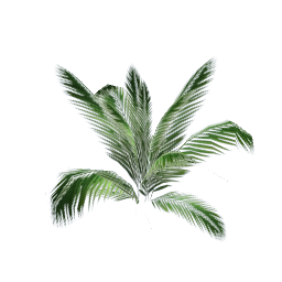 WfS Garden Plant 12