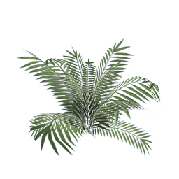 WfS Garden Plant 13
