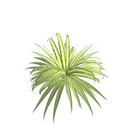 WfS Garden Plant 17