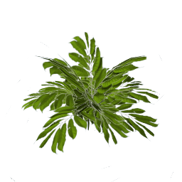 WfS Garden Plant 18