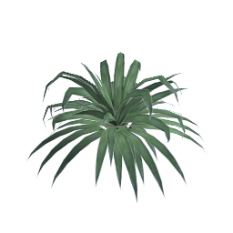 WfS Garden Plant 19