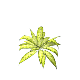 WfS Garden Plant 20