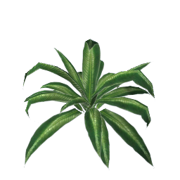 WfS Garden Plant 21