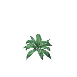 WfS Garden Plant 22
