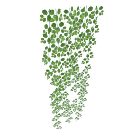 WfS Plant Wall 01
