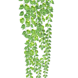 WfS Plant Wall 02