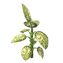 WfS Garden Plant 31