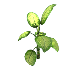 WfS Garden Plant 33