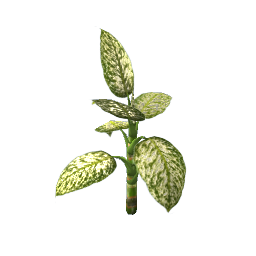 WfS Garden Plant 34