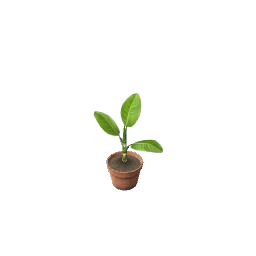 WfS Small Potted Plant 01