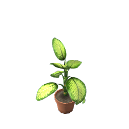 WfS Potted Plant 02