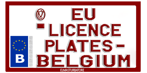 EU Licence Plates - #10 Belgium