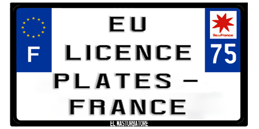 EU Licence Plates - #11 France