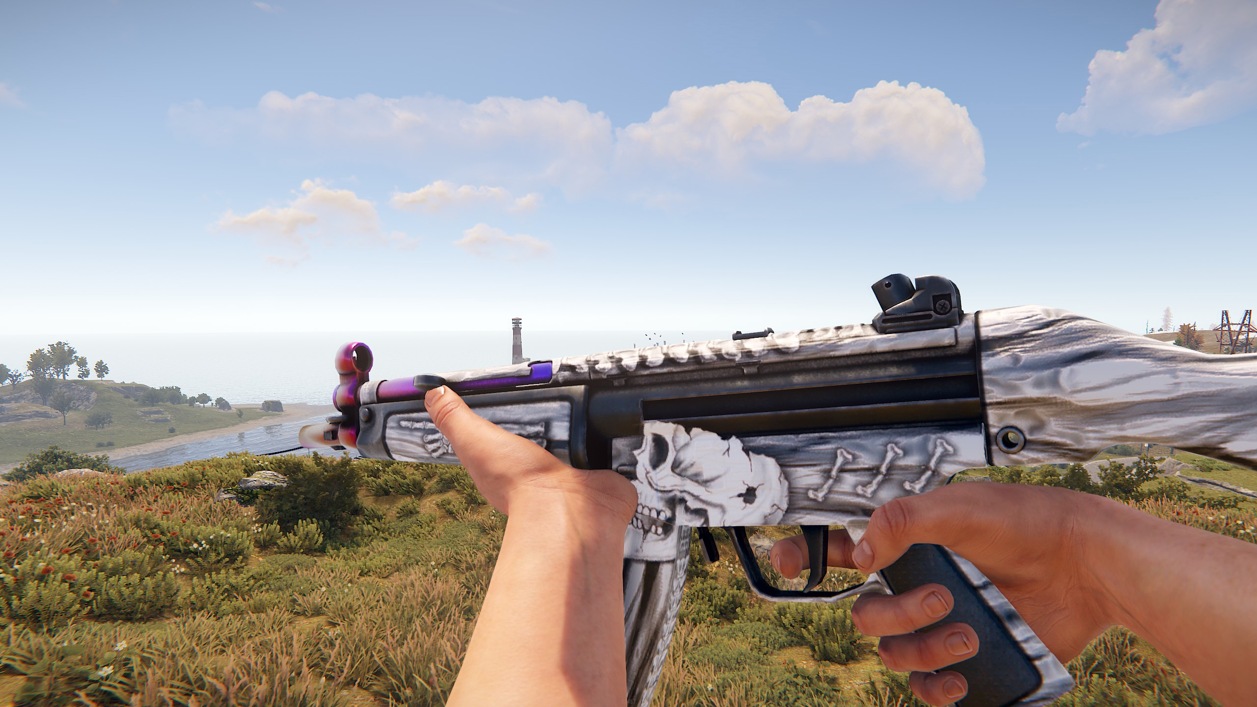 Arctic Skull MP5