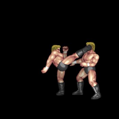 High Kick B (standing)