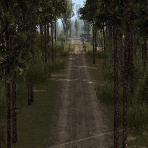 Thick Forest