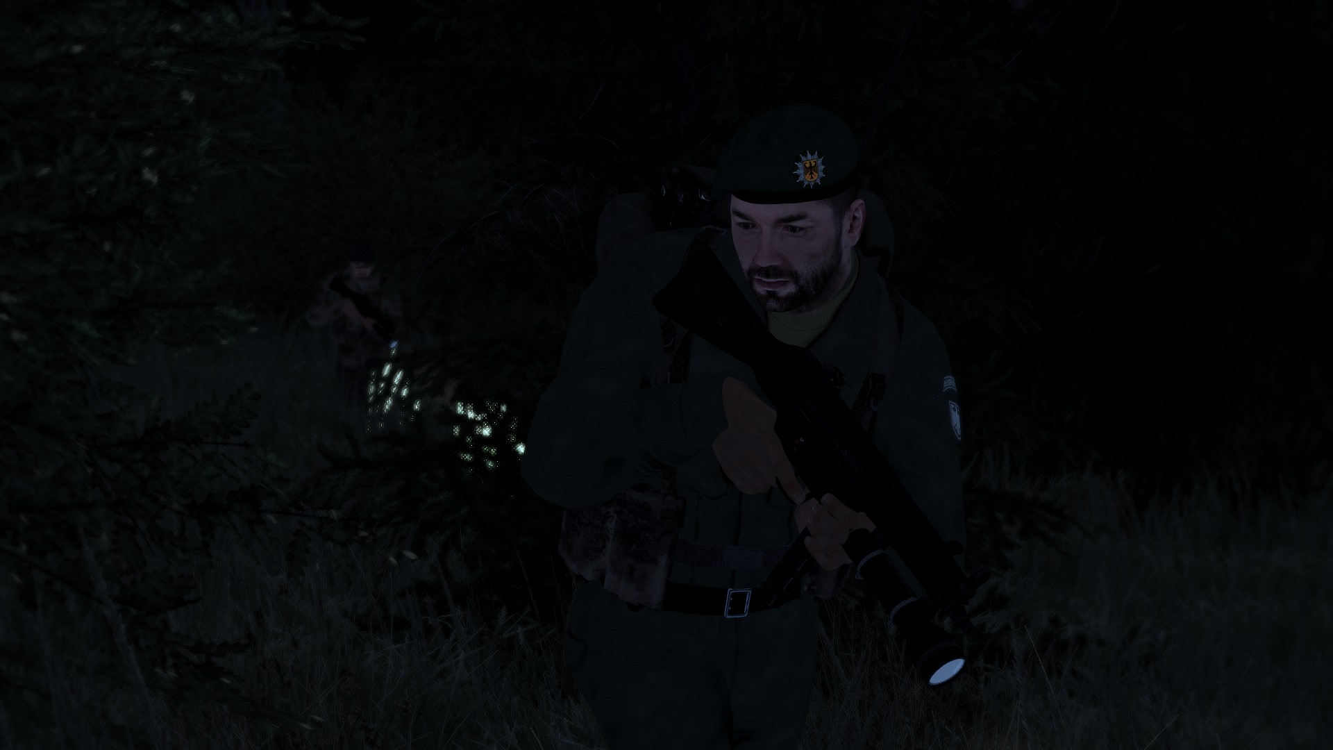 89.04.05:BGS_Grenzvorfall