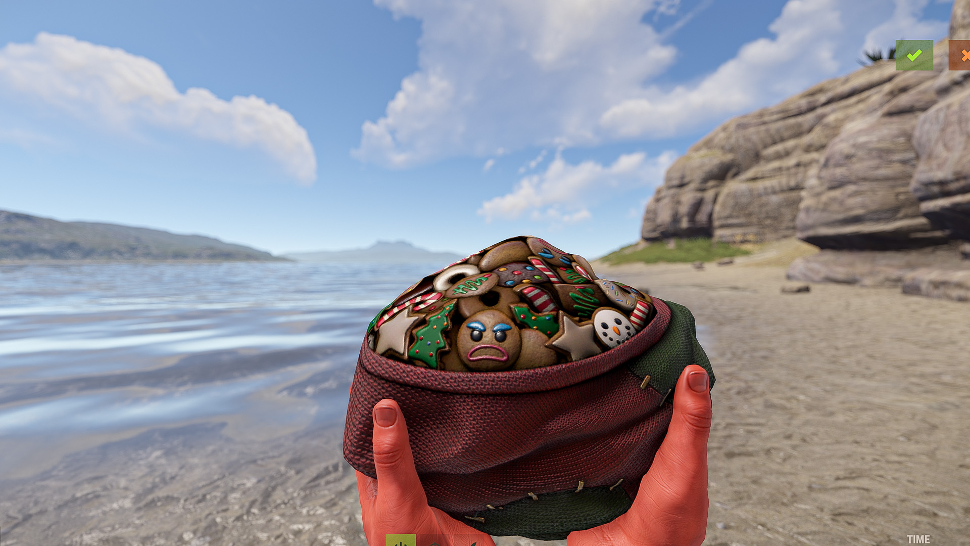 Santa's Cookie Sack