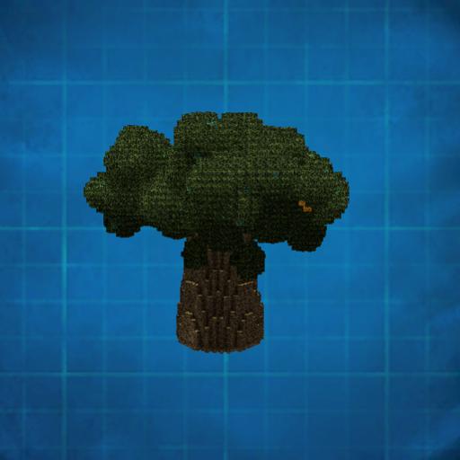 gros gros arbre savanna