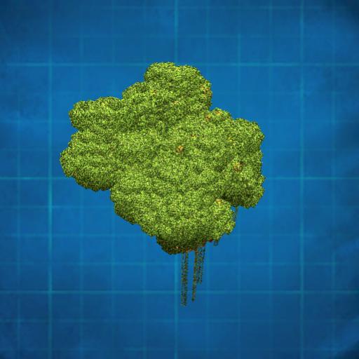 joli arbre de la jungle
