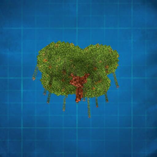 joli arbre savana wild jungle