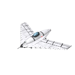 flying wing 2