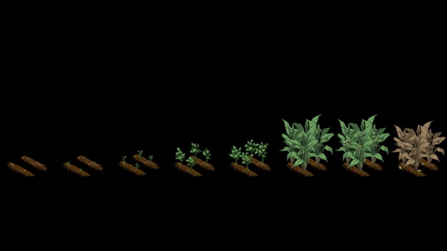 project zomboid tobacco seeds | build 42 Project Zomboid Farming Complete