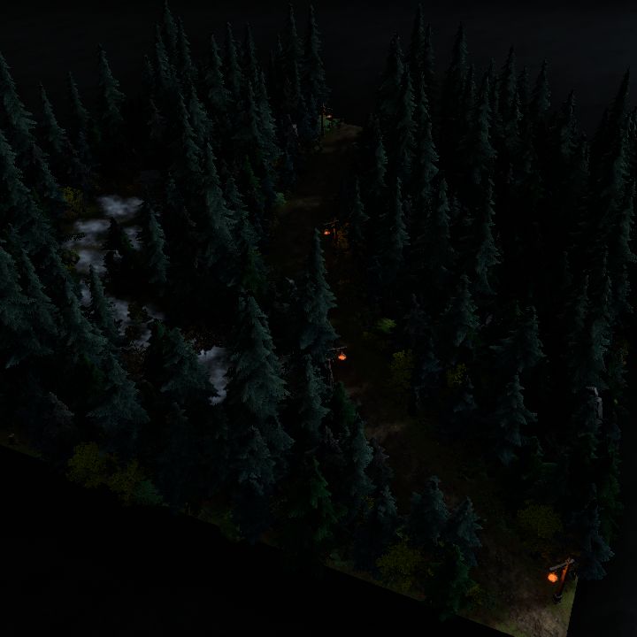 Forest Road w. Rest Area