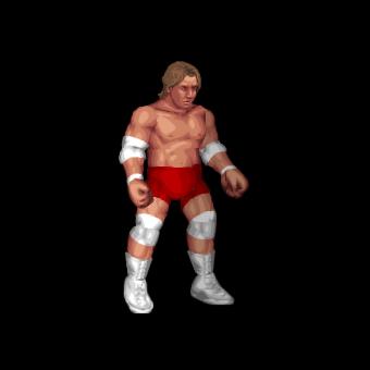 Christopher Nowinski