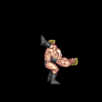 Piledriver