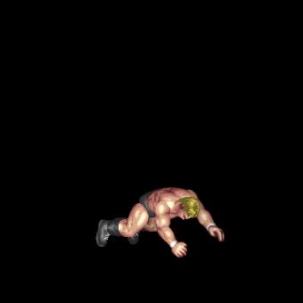Somersault Facebuster