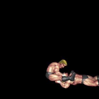 Diving Facebuster