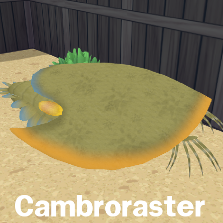Cambroraster