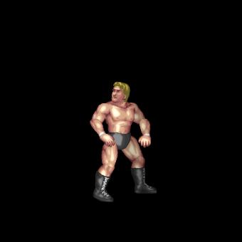 Jobber Look Around Arena