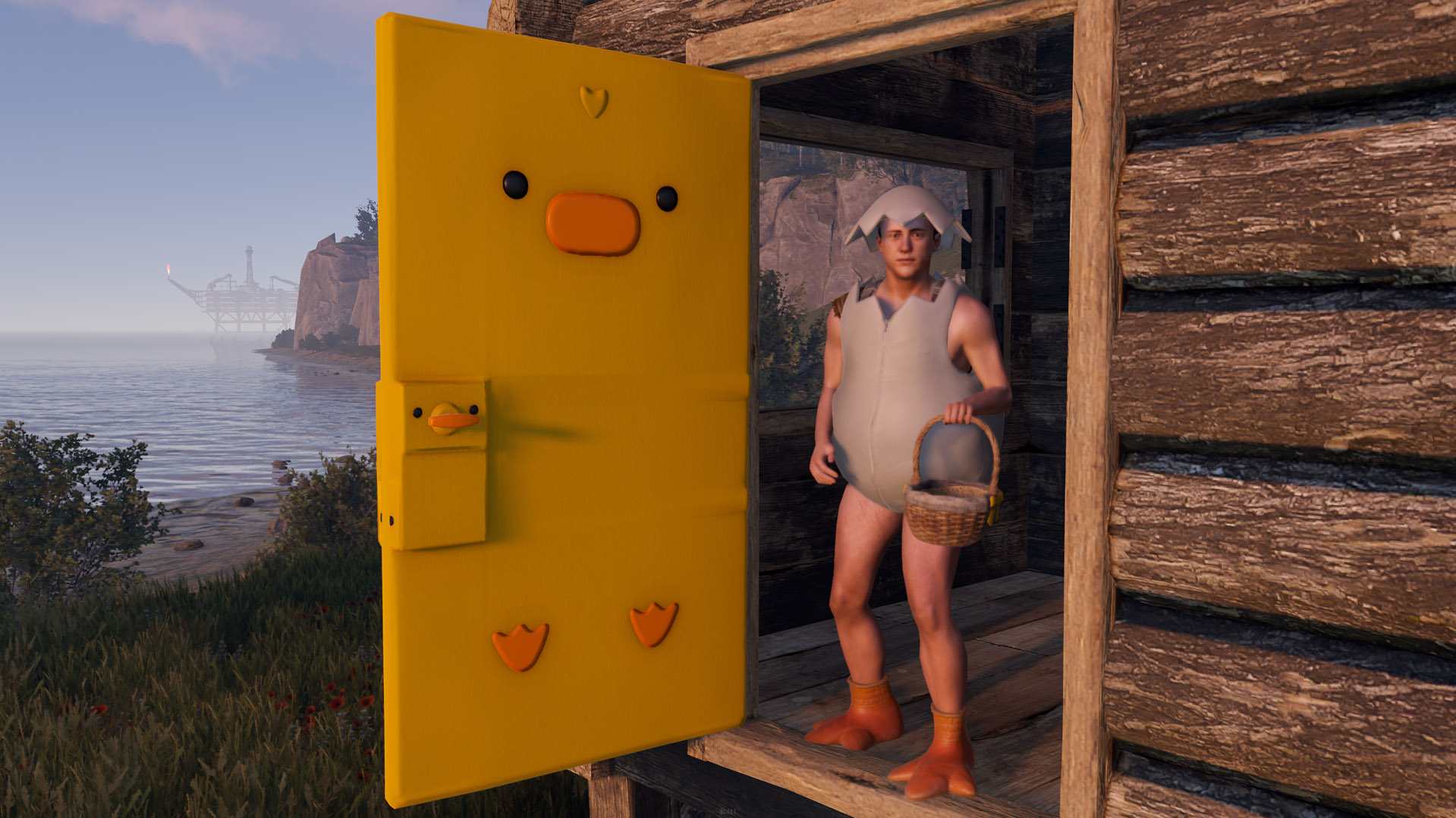 Easter Chick Door
